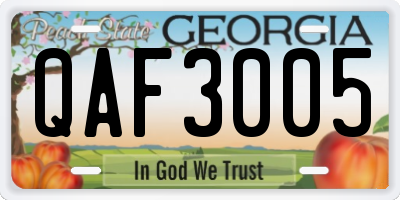 GA license plate QAF3005