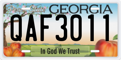 GA license plate QAF3011