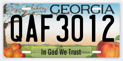 GA license plate QAF3012