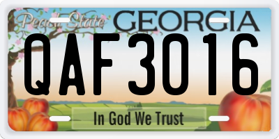 GA license plate QAF3016