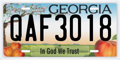 GA license plate QAF3018