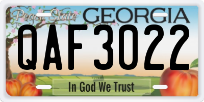 GA license plate QAF3022