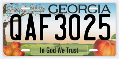 GA license plate QAF3025