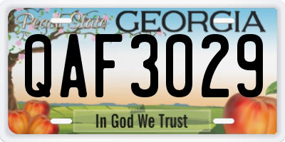 GA license plate QAF3029