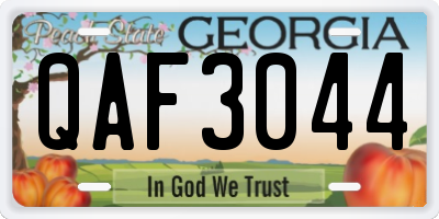 GA license plate QAF3044