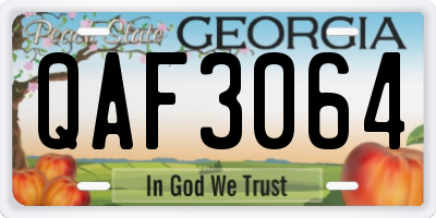 GA license plate QAF3064