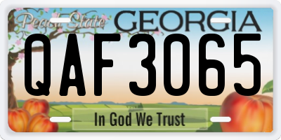 GA license plate QAF3065