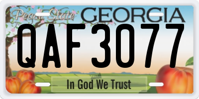 GA license plate QAF3077
