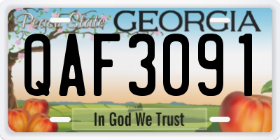 GA license plate QAF3091