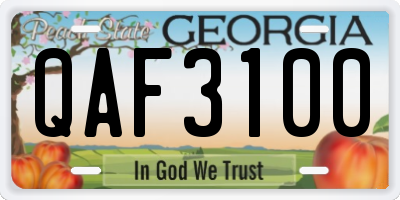 GA license plate QAF3100