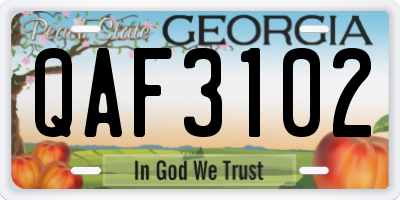 GA license plate QAF3102