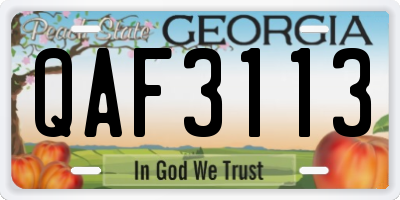 GA license plate QAF3113