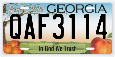 GA license plate QAF3114