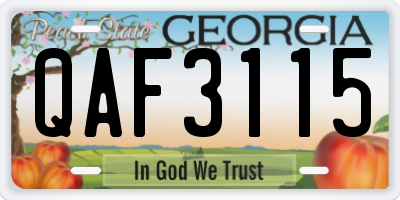GA license plate QAF3115