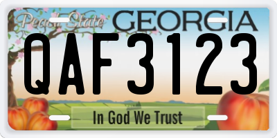 GA license plate QAF3123