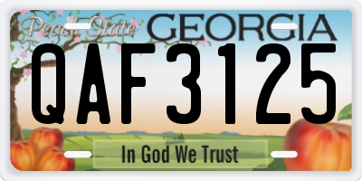 GA license plate QAF3125
