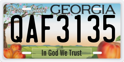 GA license plate QAF3135