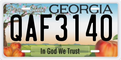 GA license plate QAF3140