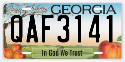GA license plate QAF3141