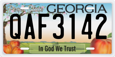 GA license plate QAF3142