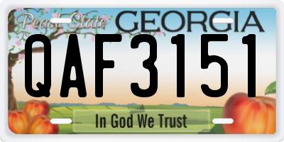 GA license plate QAF3151