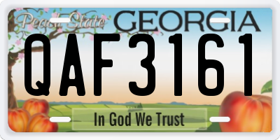 GA license plate QAF3161