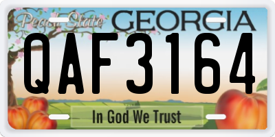 GA license plate QAF3164
