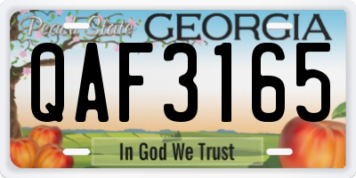 GA license plate QAF3165