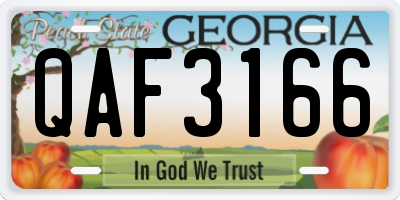 GA license plate QAF3166