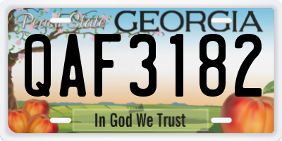 GA license plate QAF3182