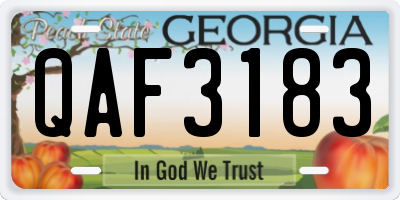 GA license plate QAF3183