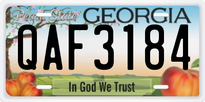 GA license plate QAF3184
