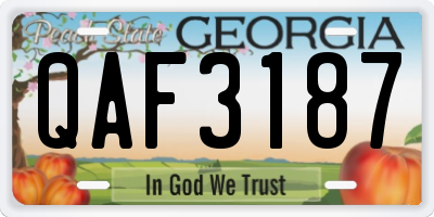 GA license plate QAF3187
