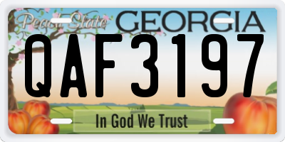 GA license plate QAF3197