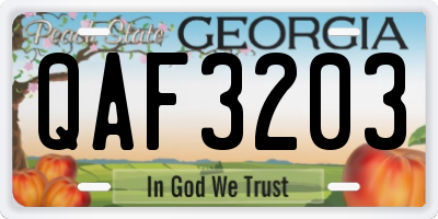 GA license plate QAF3203