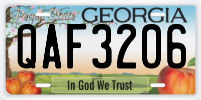 GA license plate QAF3206