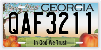 GA license plate QAF3211
