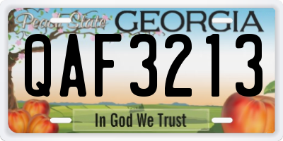 GA license plate QAF3213