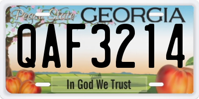 GA license plate QAF3214