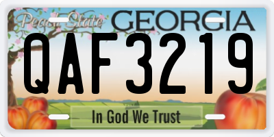 GA license plate QAF3219