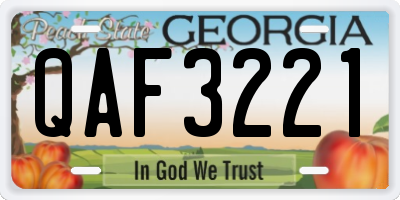 GA license plate QAF3221