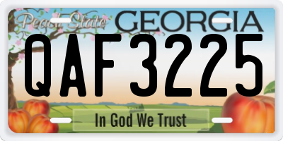 GA license plate QAF3225