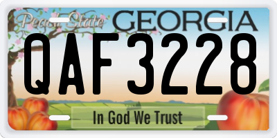 GA license plate QAF3228