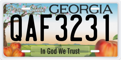 GA license plate QAF3231