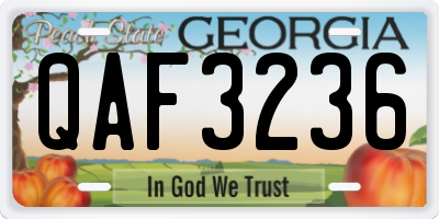 GA license plate QAF3236