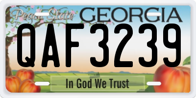 GA license plate QAF3239