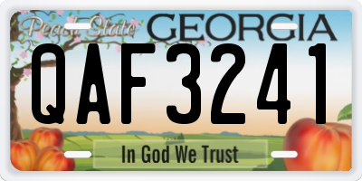 GA license plate QAF3241