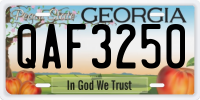 GA license plate QAF3250