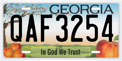 GA license plate QAF3254