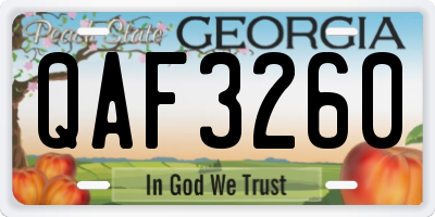 GA license plate QAF3260